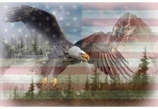 29" X 44" Panel American Wild Flag Bald Eagle Patriotic Cotton Fabric D374.77