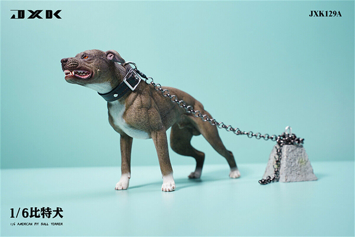 JXK American Pit Bull Terrier Dog Model 1/6 Animal Figurine Pet