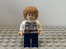Gray - LEGO Jurassic World Park Minifigure 75916 jw002