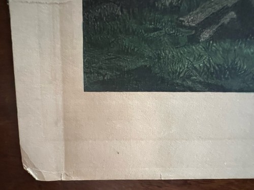 Antike Currier & Ives Lithographie "Die Heimat des Hirsches" - Bild 4 von 10