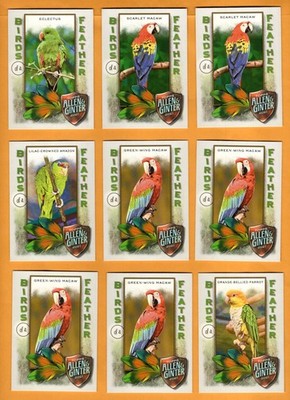 2021 Allen & Ginter Birds of a Feather lot of 9