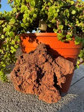 One Large Red Lava Rock – Perfect for Aquariums ,Terrariums, Succulents