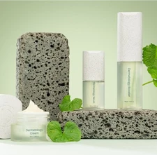 New INCELL.DERM Dermatology First Package EX Set (3 Items) –Booster,Serum, Cream