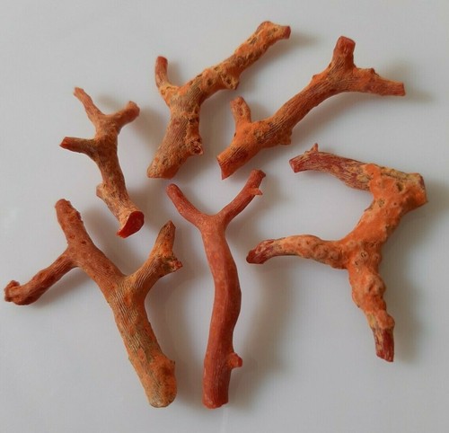 AAA+ Quality 100% Natural Italian Red coral Rough Loose Branch Tree gemstone. - Picture 4 of 7