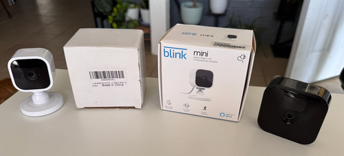 Blink Mini Indoor / Outdoor Camera Lot With Mount
