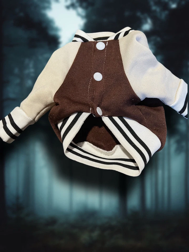 Dog Clothing Bundle Small – Varsity Jacket & Plush Teddy Hoodie Cute Pet Outfits - Image 3 of 4