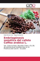 EmbriogéNesis SomáTica Del Cafeto Coffea Arabica L. Silvia Montes Cruz (U. A.)