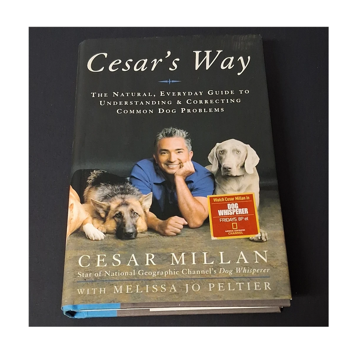 Cesar Millan Dog Training Videos & Books for sale | eBay