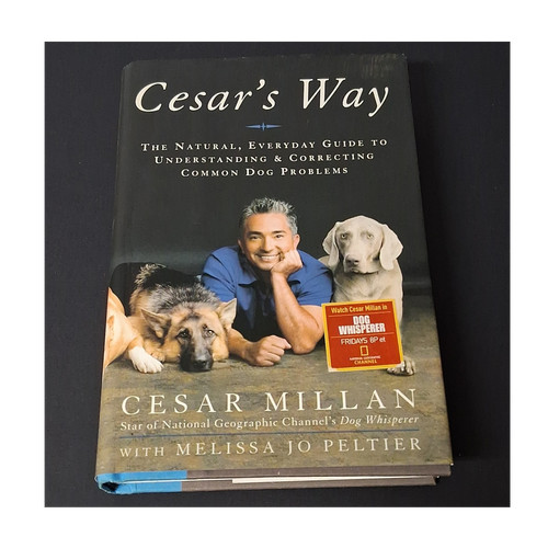 Cesar Millan Cesar's Way Dog Problems Guide by Melissa Jo Peltier Hardcover
