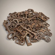 Cast Iron Skeleton Keys   19th Century