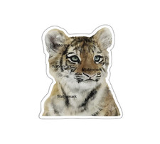 Baby Tiger Sticker Decal
