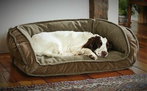 orvis memory foam deep dish dog bed