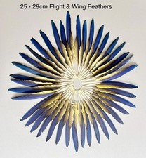 Parrot Macaw Feather Crafts DreamCatcher Jewellery Headdress Spiritual Quill Pen