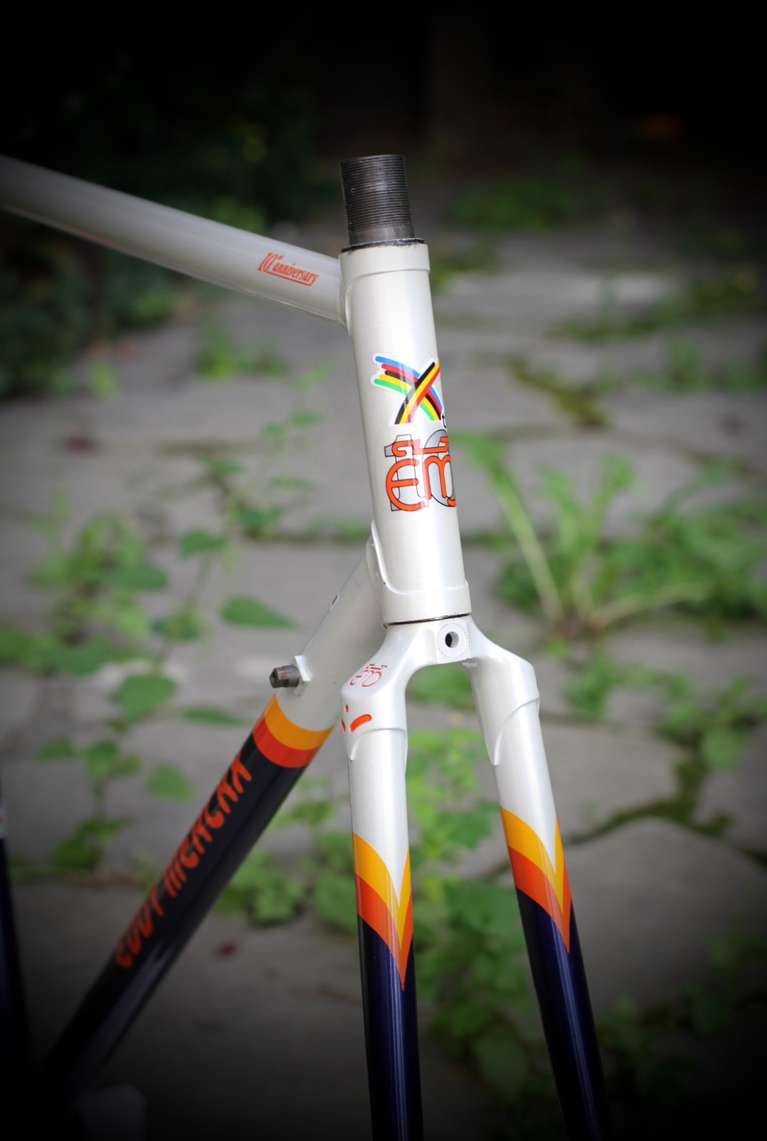 Telaio Eddy Merckx 10° Anniversario Columbus SLX 56 cm