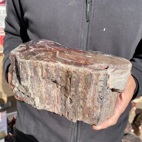 10.3LB Rare Natural petrified wood rough Wood fossil mineral specimen healing - Picture 5 of 20