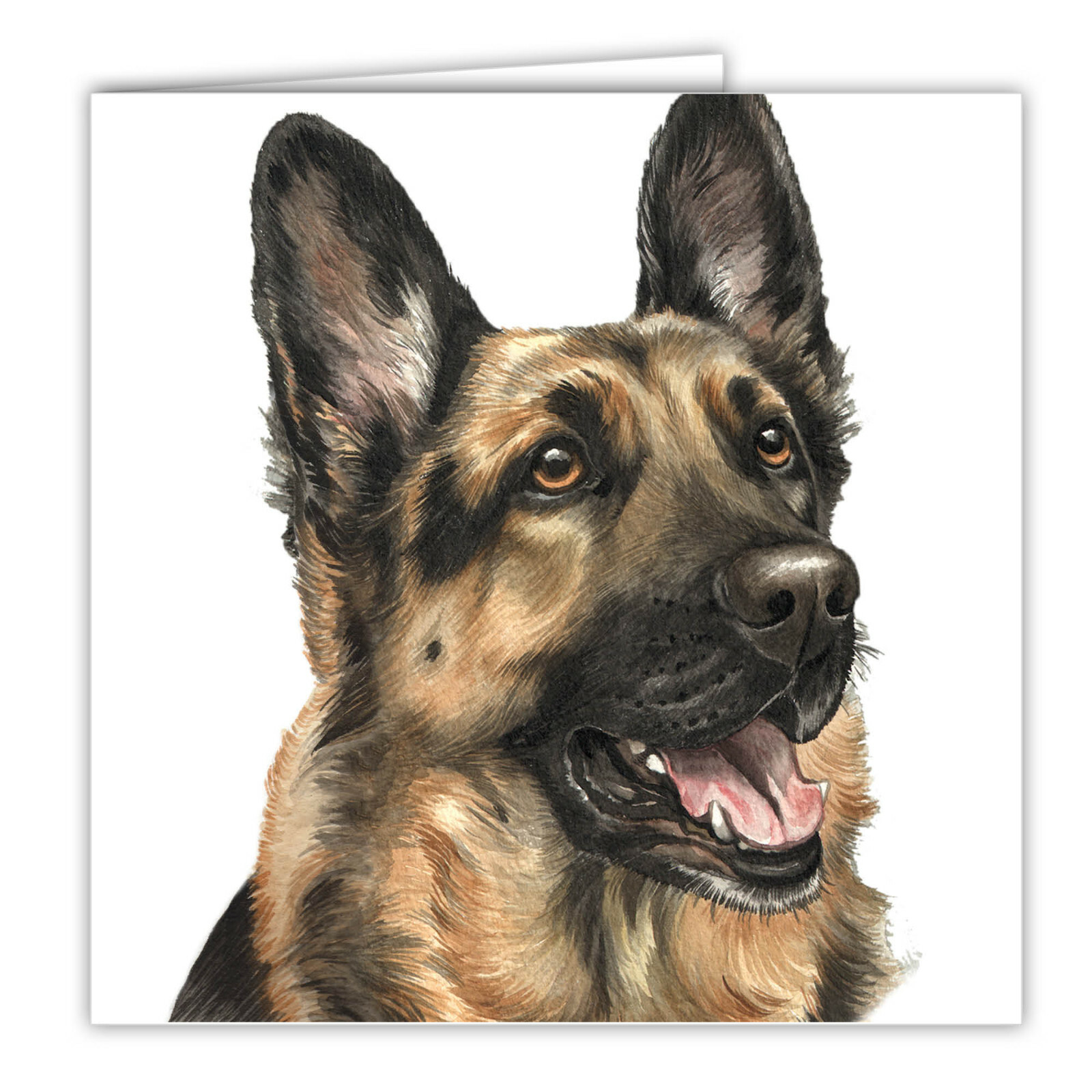 German Shepherd greetings card dog blank card dogs German Shepherds Alsatians