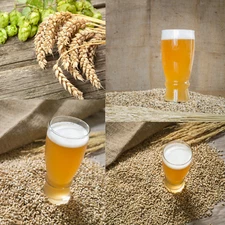 BLONDE ALE Extract Homebrewing Beer recipe