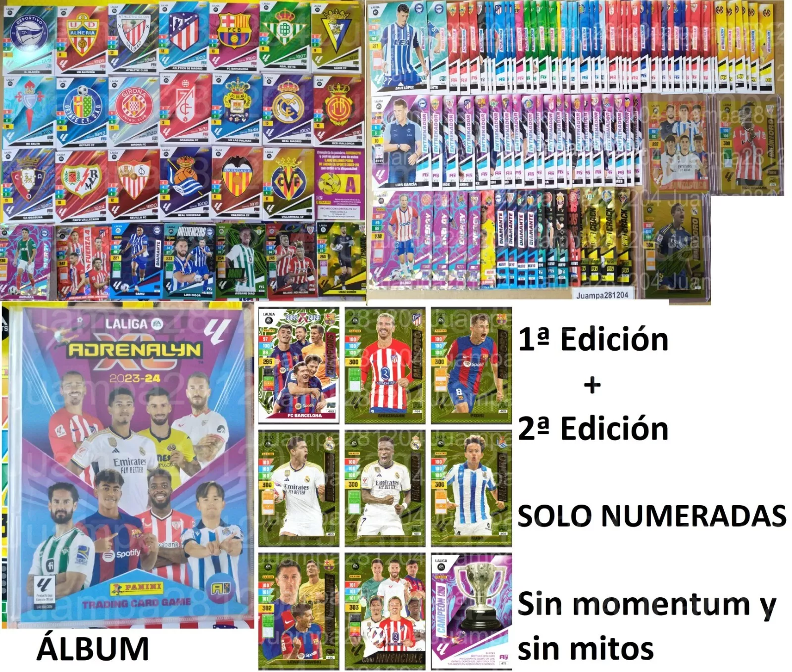 Imagen 11 de 15