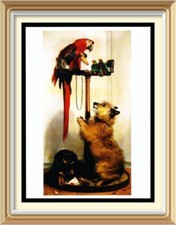 Landseer Kunstdruck Queen Victoria's Dogs ISLAY & Tilco Ara Vogel & Turteltauben