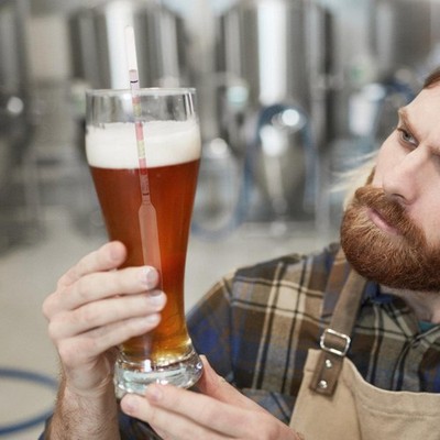  Weinherstellungstester, Hydrometer zum Brauen, Haushaltsbraumesser, Bier- und