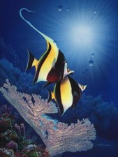 Ceramic Backsplash Tile Mural Fishing Kitchen/Bathroom/Shower - Coral Cove