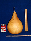 Large Hard Pear Shaped Gourd - 11 1/4 in x 25 in - dried