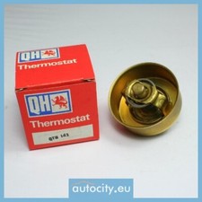 Thermostat Peugeot 604
