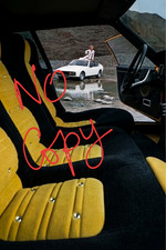 MATRA (SIMCA) BAGHEERA VUE DE L'INTERIEUR D'UNE MATRA ......... PHOTO (20x30 CM)