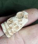 Dug civil war Animal or Human chewed Pain bullet Antietam Sharpsburg Md