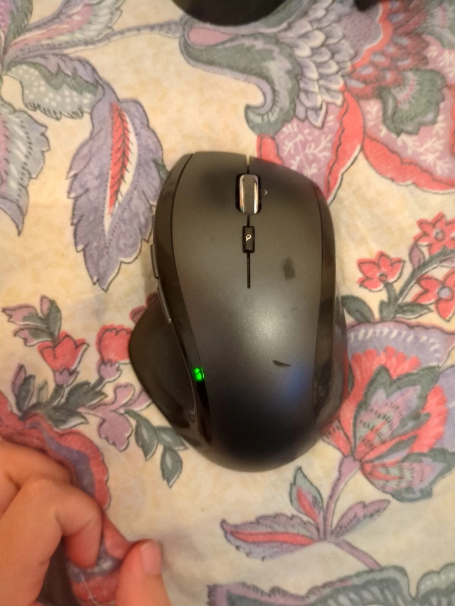 Mouse description deals