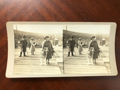 Alaskan Husky At Carcross Caribou Crossing Yukon YT Canada Railroad July 1931 SV