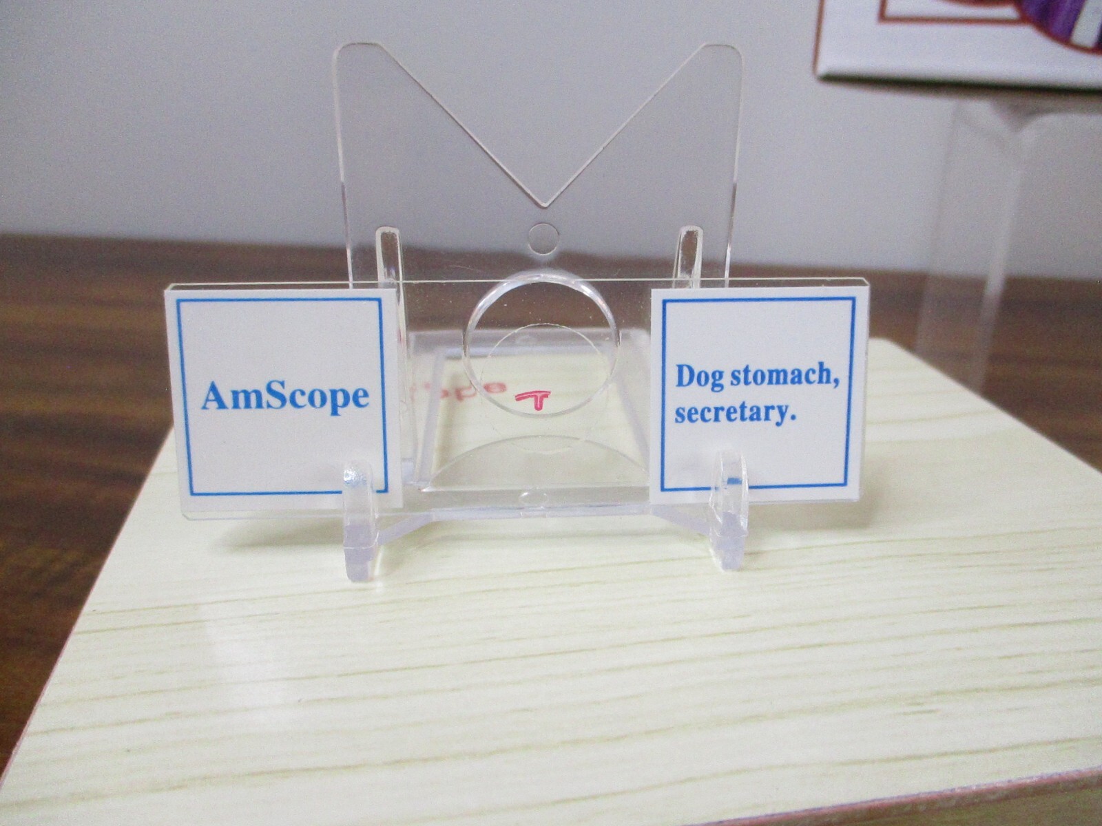 AmScope 25 Prepared Microscope Slides Glass with Wooden Box PS25W NEW