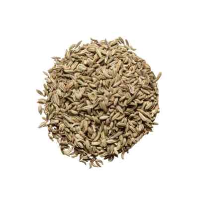 DR T&T Xiao Hui Xiang / 小茴香 / Fructus Foeniculi Trockenkraut 100g