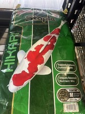 Hikari Staple medium Pellets Fish Food - 22lb. FREE SHIPPING