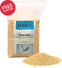 Non-GMO White Millet Bird Seed 10Lb Premium Clean Wild Bird Feed Doves Juncos