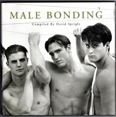 Male Bonding by David A. Sprigle (1998, Hardcover) / Male Nude