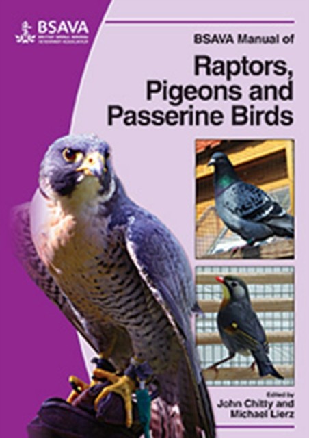 BSAVA Manual of Raptors, Pigeons and Passerine Birds by John Chitty PAPERBACK