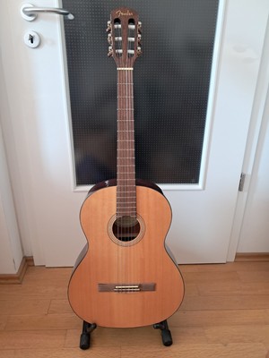 Konzertgitarre Fender
