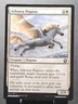 MTG 2/281 ARBOREA PEGASUS Creature Adventures in the Forgotten Realms⚔️NM/MT