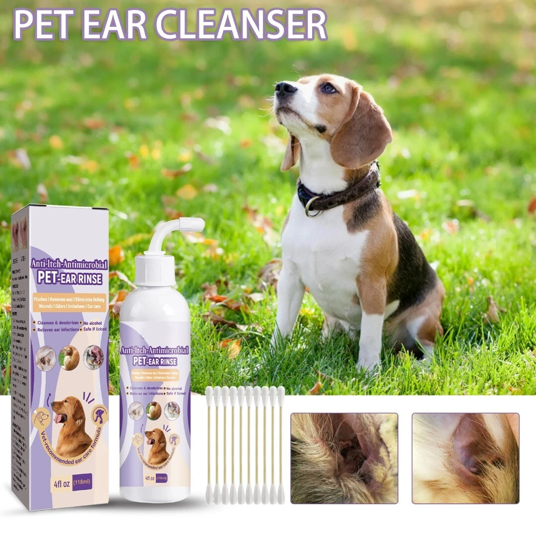 Beagle ear cheap cleaning solution