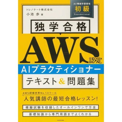 AWS Certified AI Practice Book Text & Problem Collection Excellent For Ages 14+