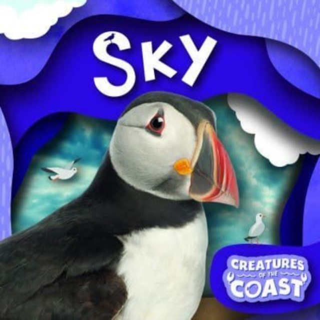 Sky by Robin Twiddy (Paperback Book)