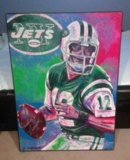 Joe Namath Signed Bill Lopa AROC LE 3/12 Canvas Super Bowl MVP - NFL HOF - Rare