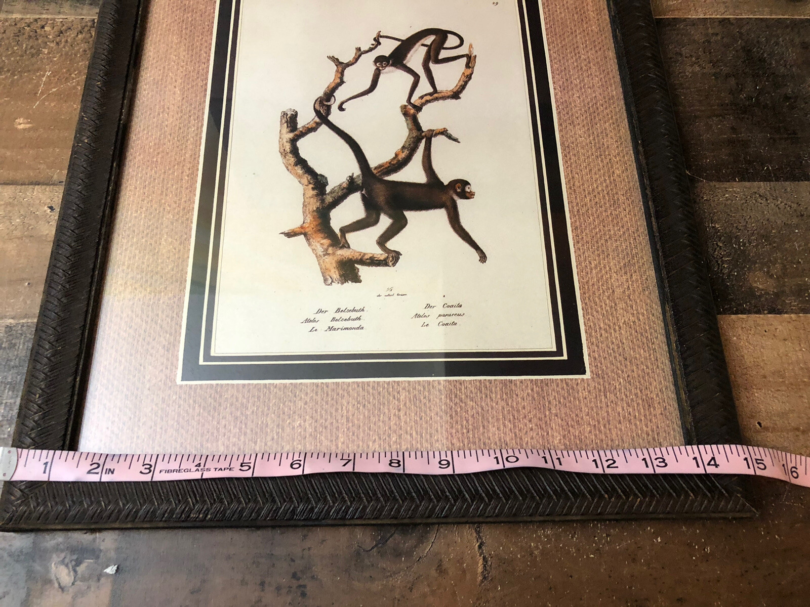 Picture 5 of 6