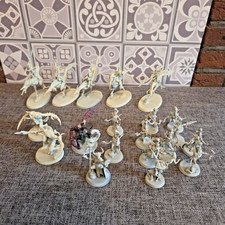 Warhammer Age of Sigmar AoS: Hedonites of Slaanesh Speerspitze - Komplett