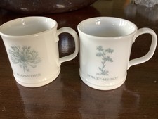 Mary Berry 2 x EXPRESSO COFFE MUGS (garden) ex display 1 has no back stamp