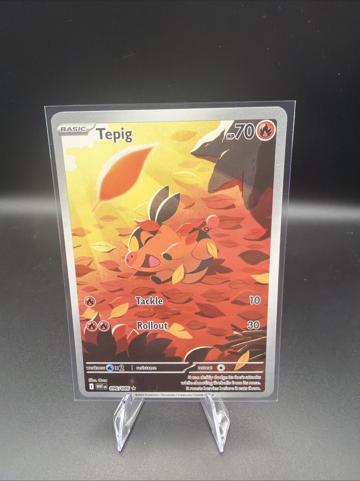 Tepig 096/086 Sv: White Flare NM