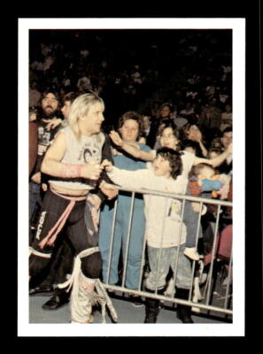 1988 Wonderama NWA #69 Ricky Morton | eBay