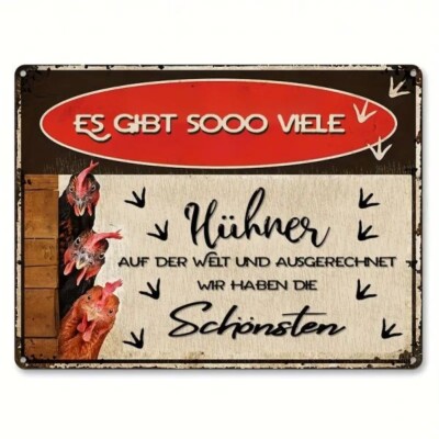 Blechschild Es gibt so viele Hühner .... Wir die schönsten Retro 30x20cm TEL1117