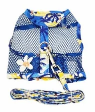 Cool Mesh Dog Harness with Leash - Catching Waves & Matching Leash  XS-L 